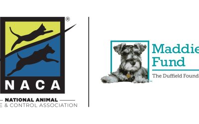 Conference Scholarships Provided By Maddie’s Fund