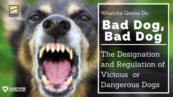 NACA Webinars