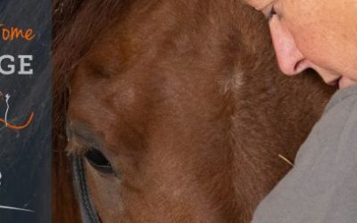 Join Help a Horse Home: The ASPCA® Equine Adoption Challenge | ASPCApro