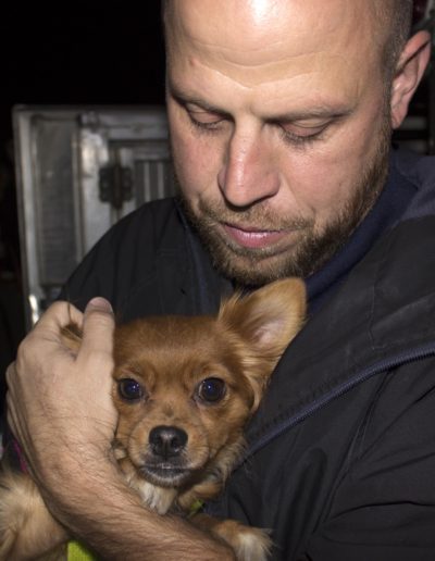 Tulsa Animal Welfare, Tulsa Oklahoma