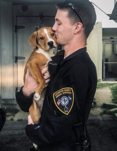 Lexington County Animal Services