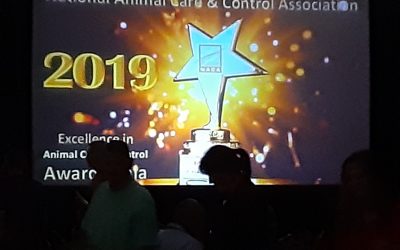 2019 NACA Awards