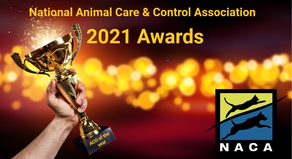 2021 awards #2