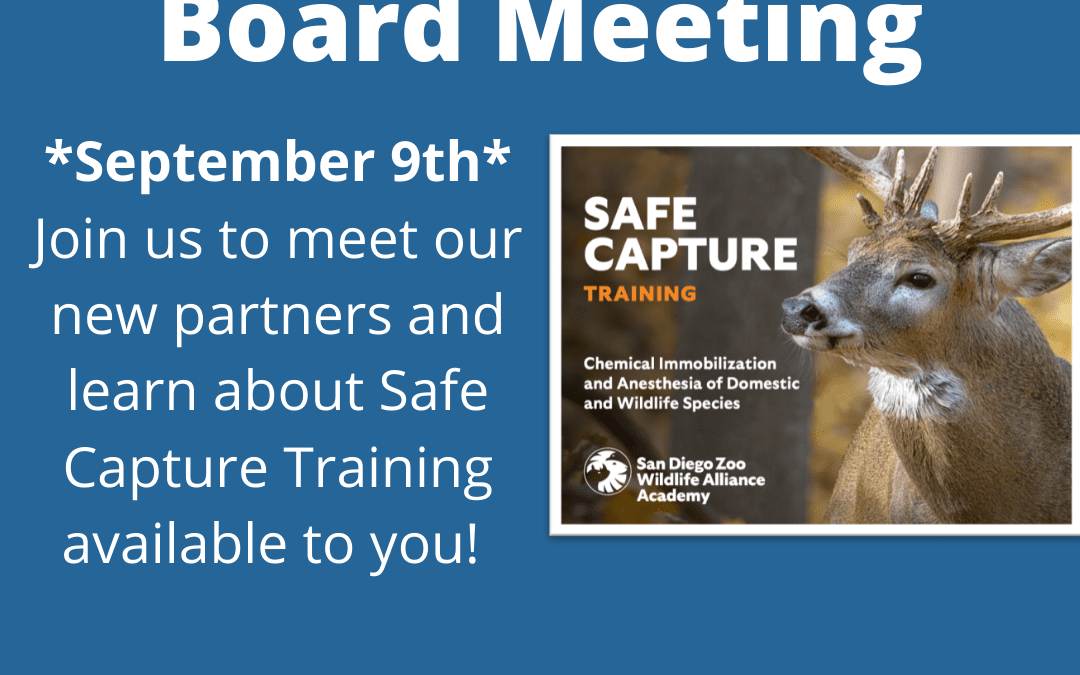 NACA Board Meeting