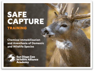 Chemical Immobilization Workshop | National Animal Care & Control  Association