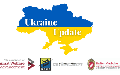 Are You Prepared For Ukrainian Pets In Your Jurisdiction?