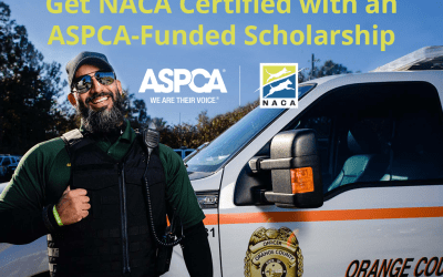 ACO 1 or ACO 2 Course Scholarships