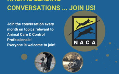 NACA is Leading Conversations – Join Us!