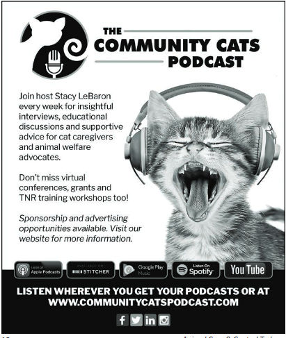 community-cats-ad
