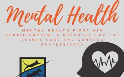 Mental Health First Aid (MHFA)