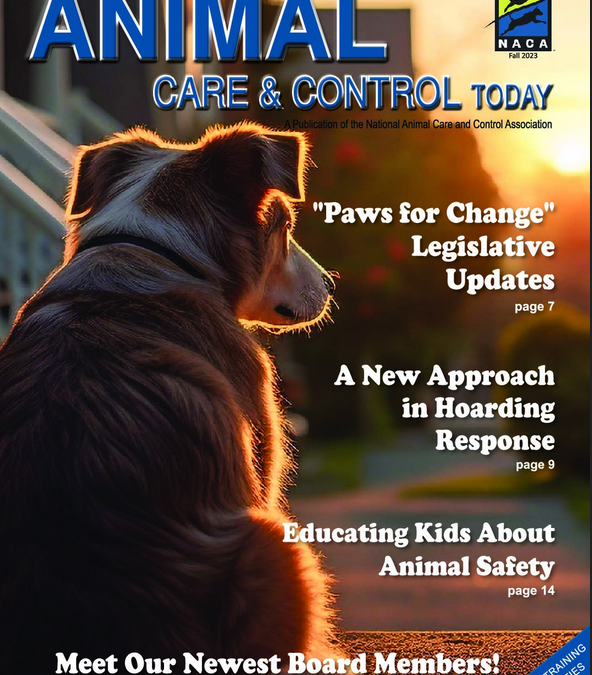 Embracing Change: NACA Magazine Transitions to Biannual Issues