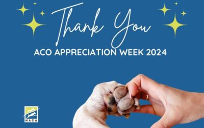 Let the celebration begin! ACO Week