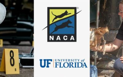 Announcing NACA ACO III