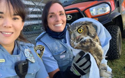 Animal Control Officers Deserve More Than Appreciation—They Deserve Support