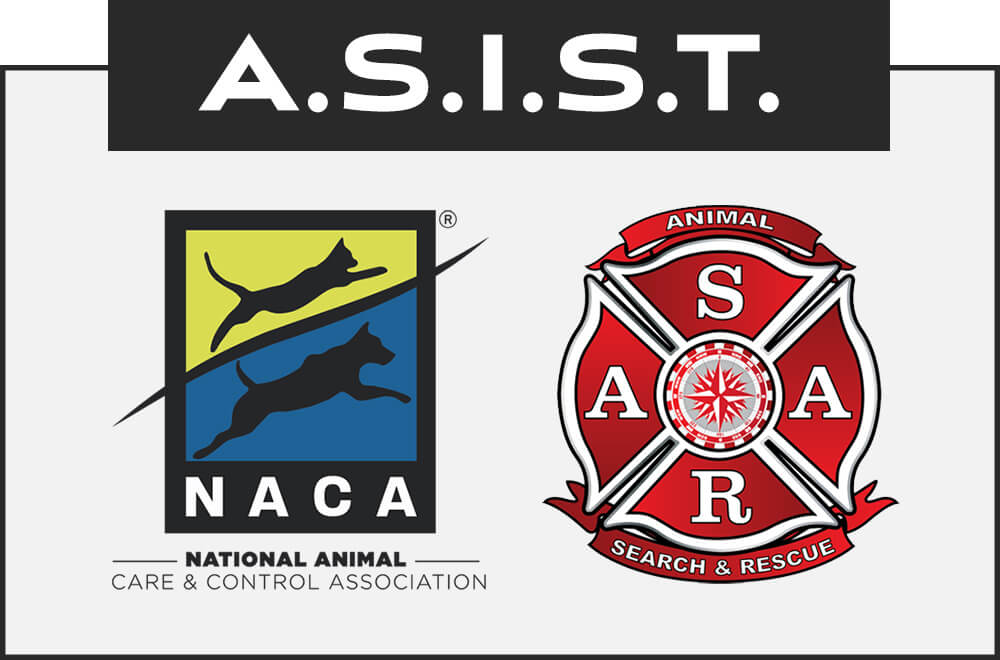UTF-8asist-program-logos (1)