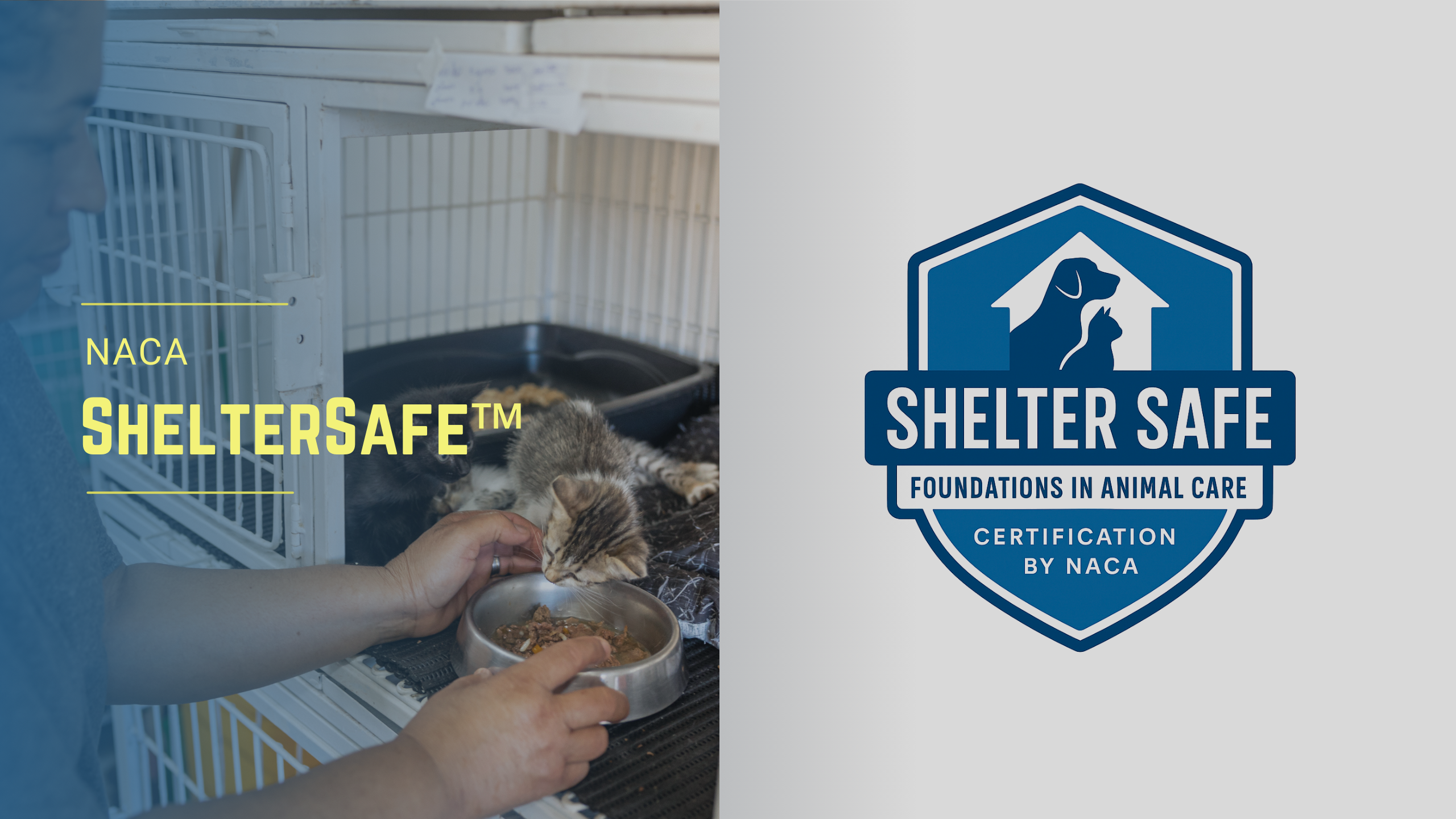 SHELTERsafe™