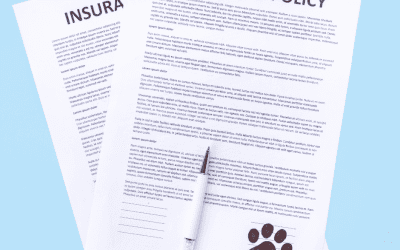 Why Insurance Matters in Animal Services