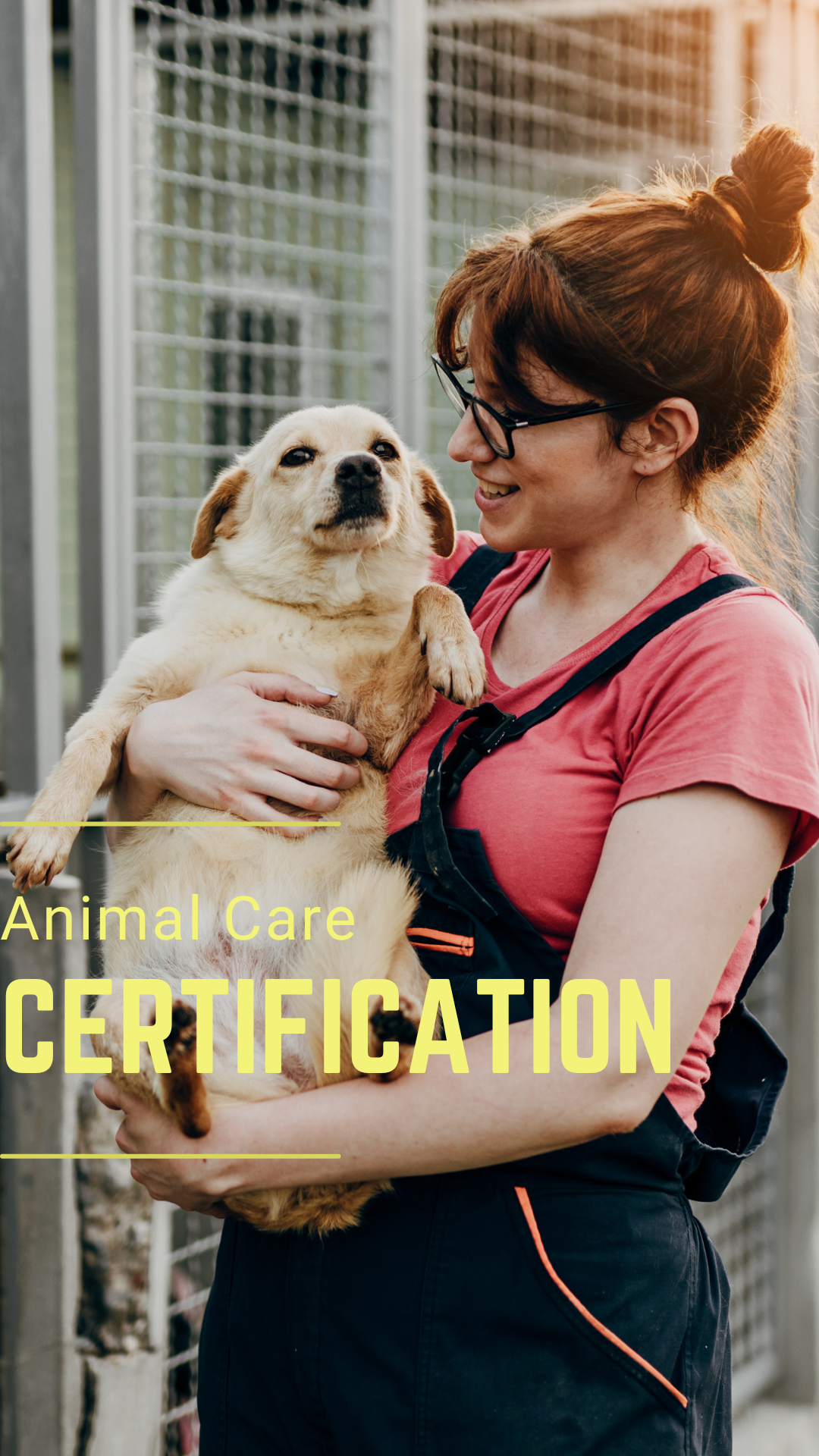 ACC Social Story (1)