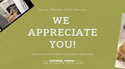 2025 ANIMAL SHELTER  APPRECIATION WEEK  AWARD WINNERS