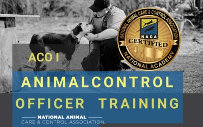 Celebrating A New Chapter for In-Person NACA ACO I Training