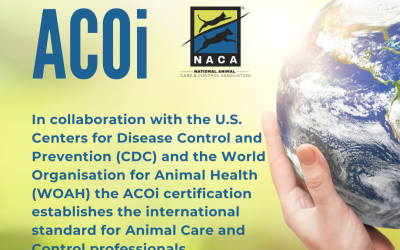 NACA Introduces New International Certification to Strengthen Animal Welfare Worldwide