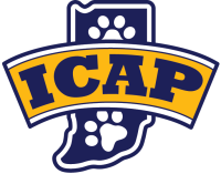 ICAP-favco1