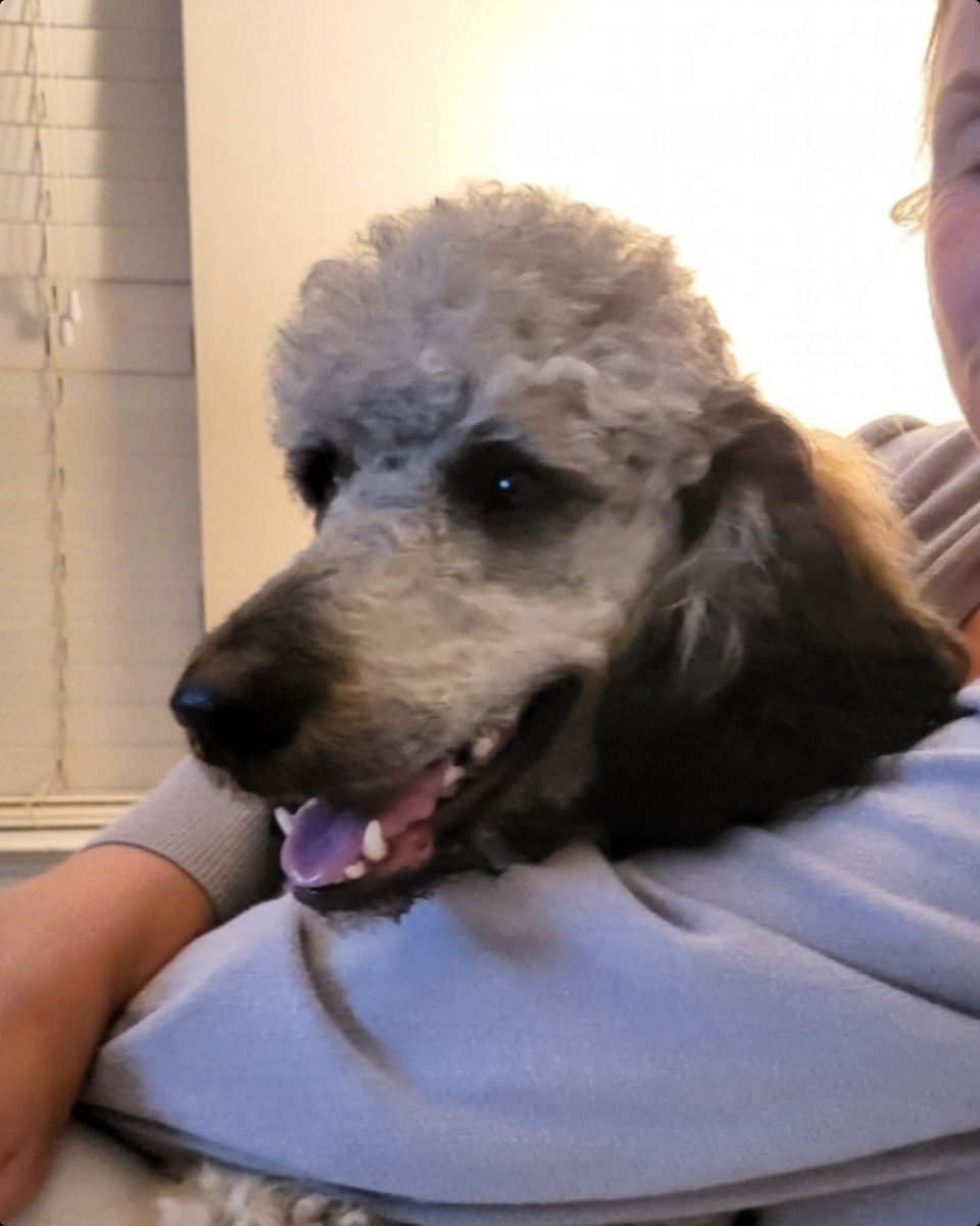 06FC0FA9 D1AC 4295 958D 2A43D78B2E7F