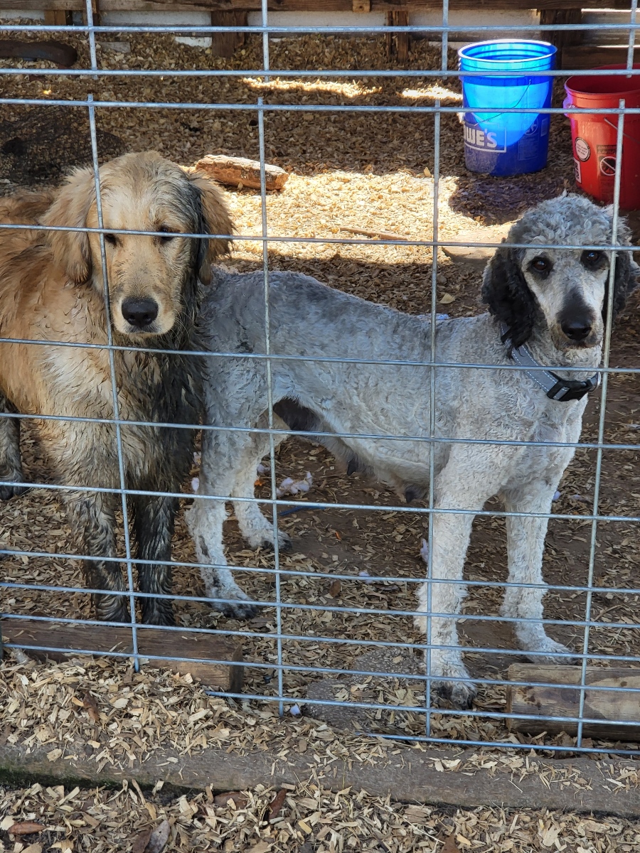 C890B3D7 1E22 42AE BC10 3634EC02F520