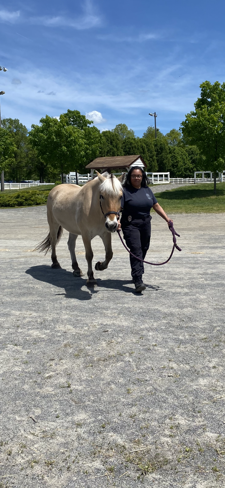 D3711758 76FF 4EE9 A13D BD7557FF88FF