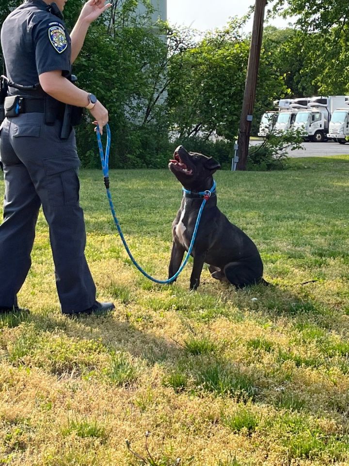 South Windsor Longest Resident