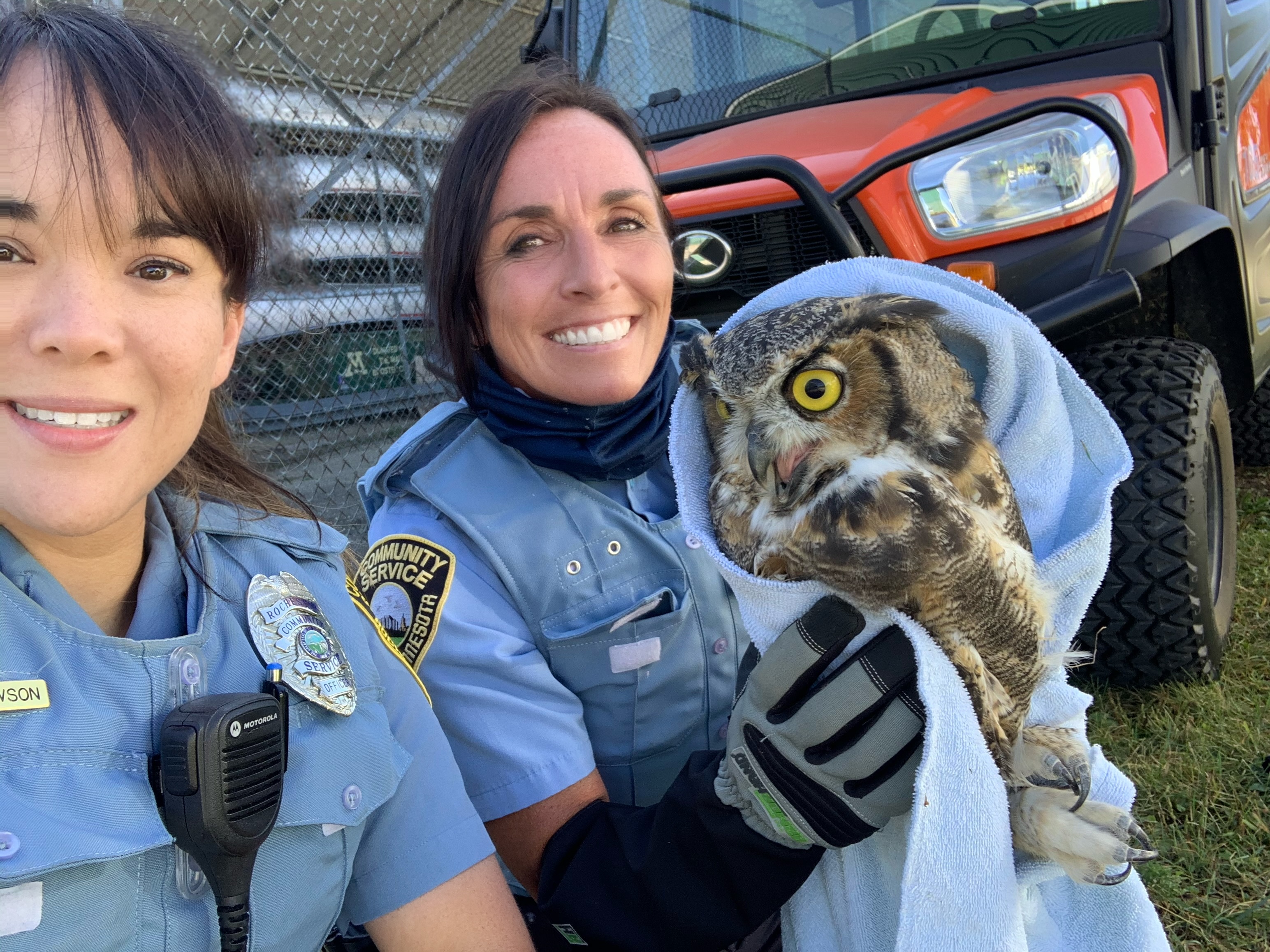 Owl rescue