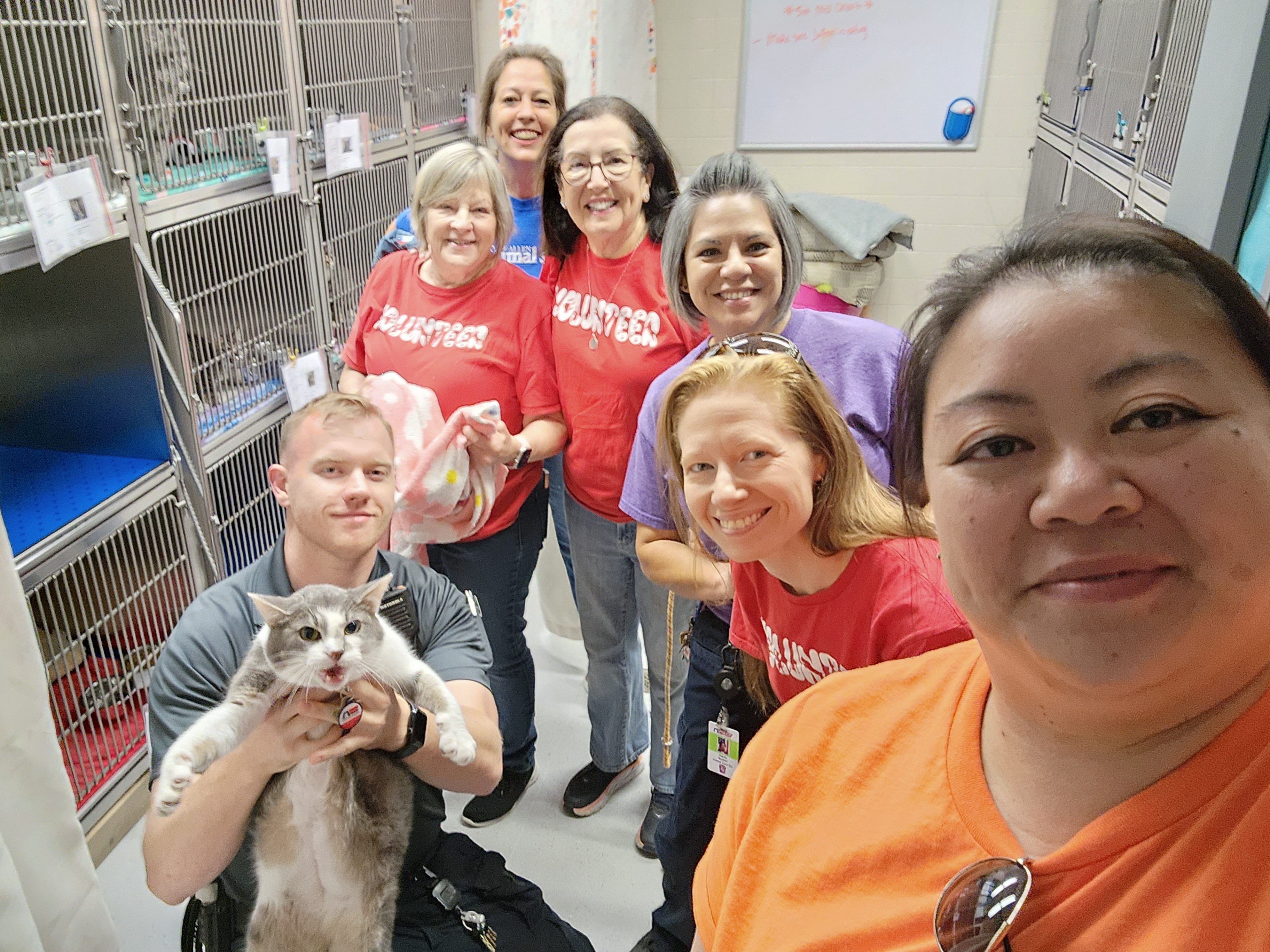 Allen Animal Services