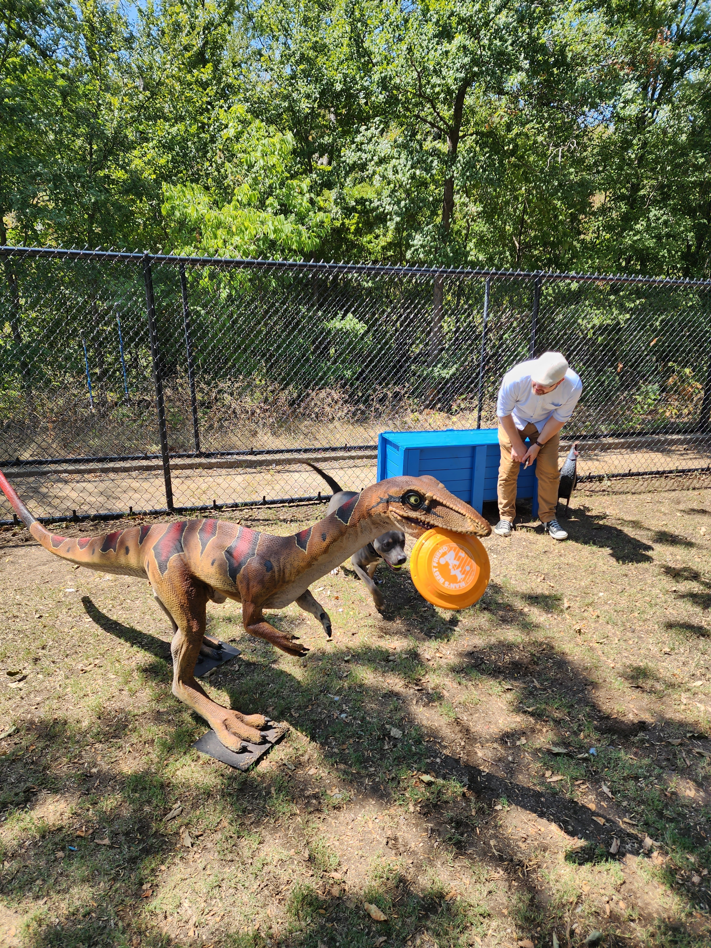 Allen Animal Services