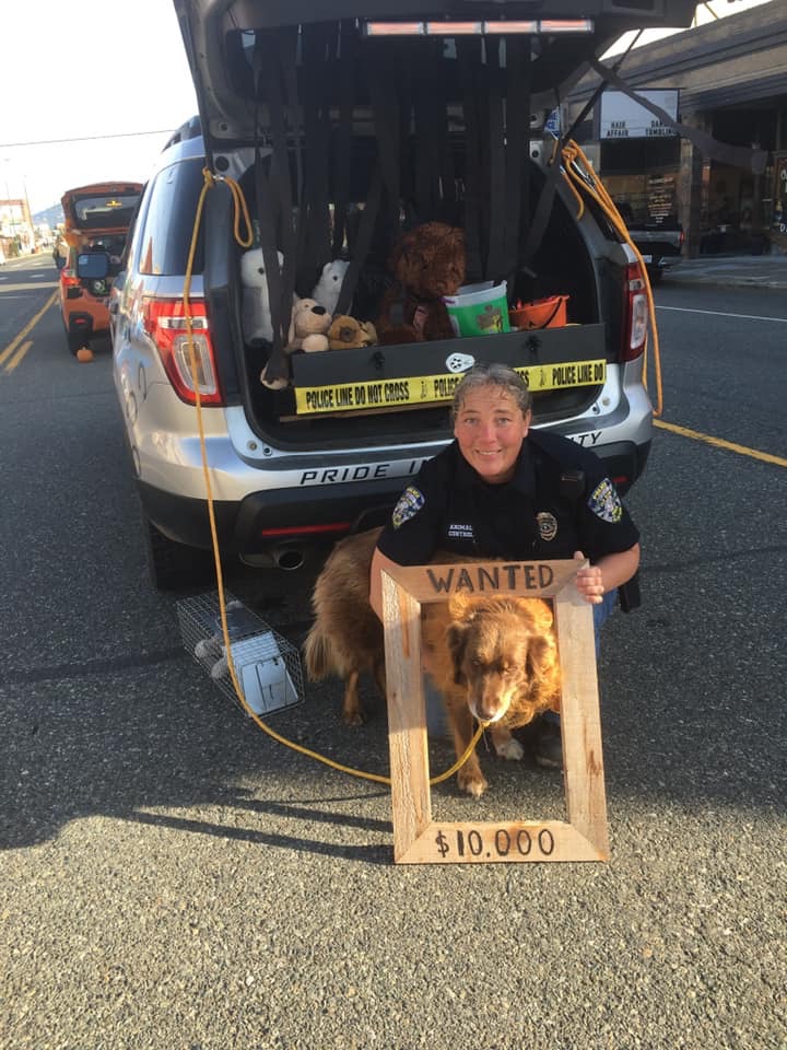 Jacqueline Van Dongen