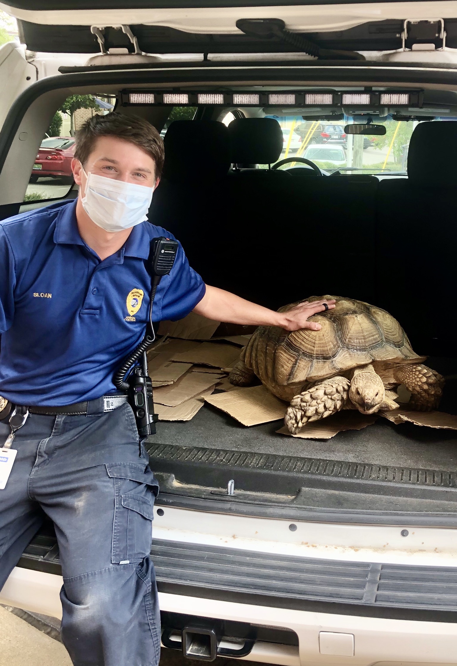 Big Turt the Tortoise