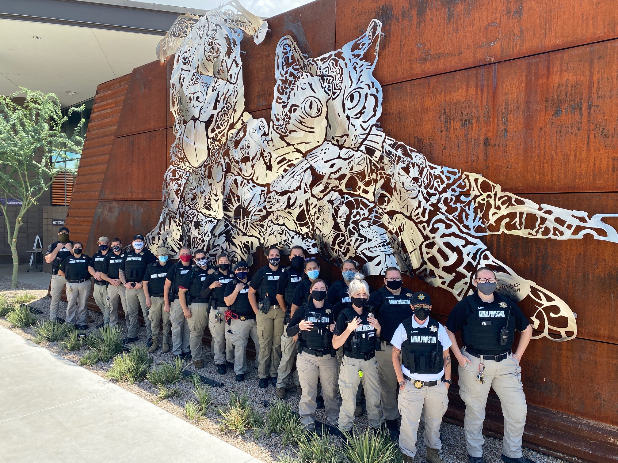 Pima County Animal Protection