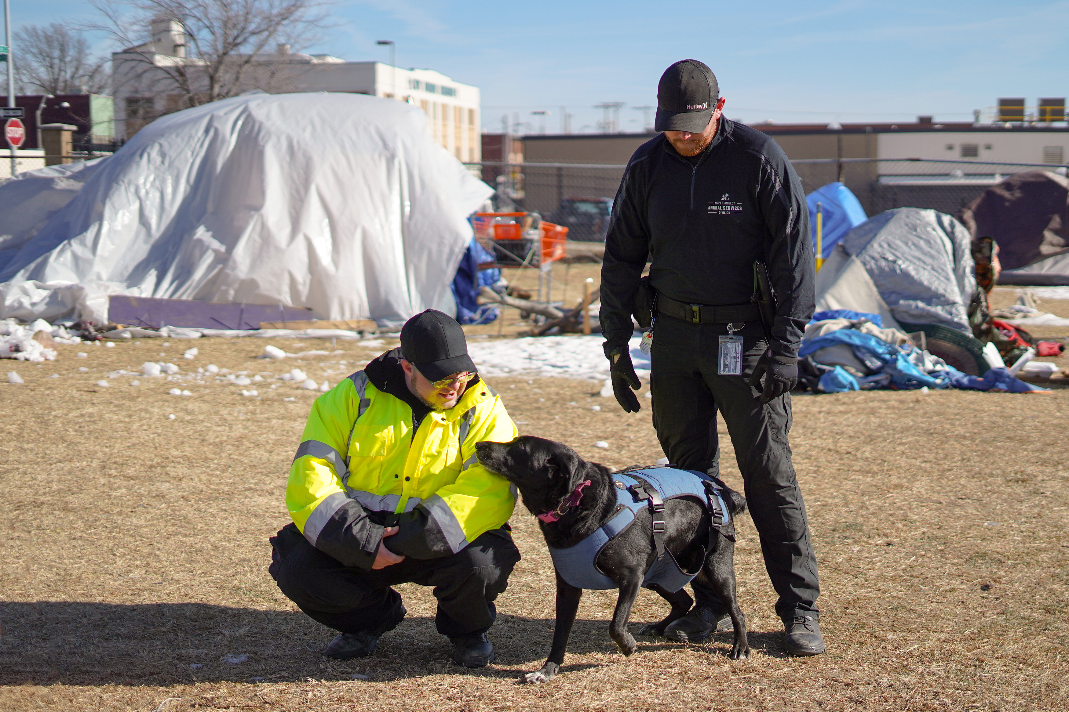 KC Pet Project Animal Services Officers with dog