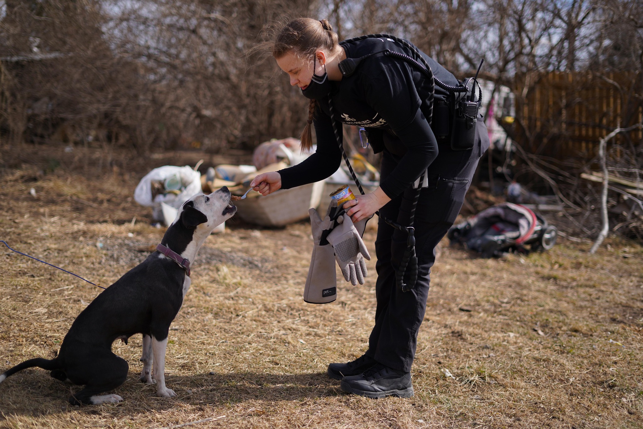 KC Pet Project Animal Services Officer with dog